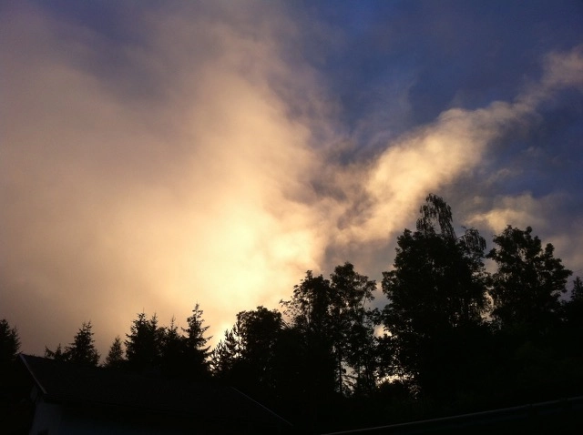 zobacz camping - zdjęcie 6