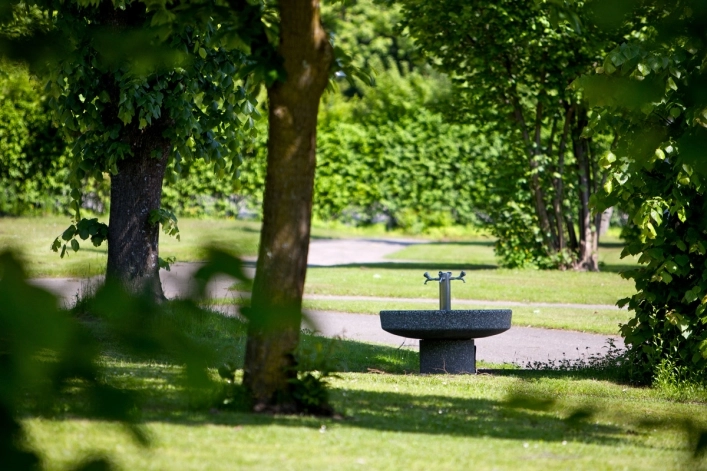 zobacz camping - zdjęcie 46