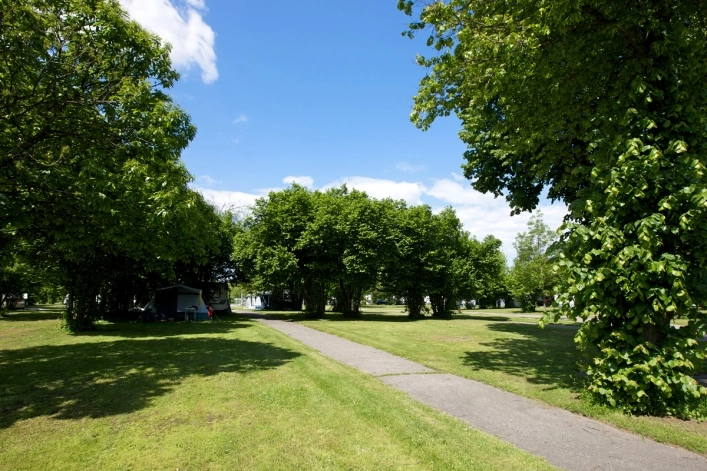 zobacz camping - zdjęcie 45