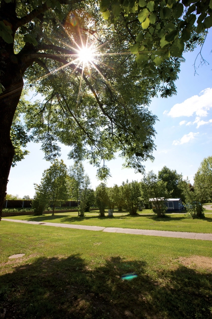 zobacz camping - zdjęcie 44