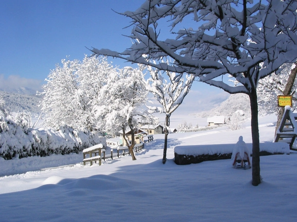 zobacz camping - zdjęcie 29