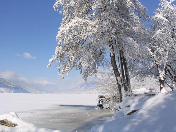 zobacz camping - zdjęcie 16