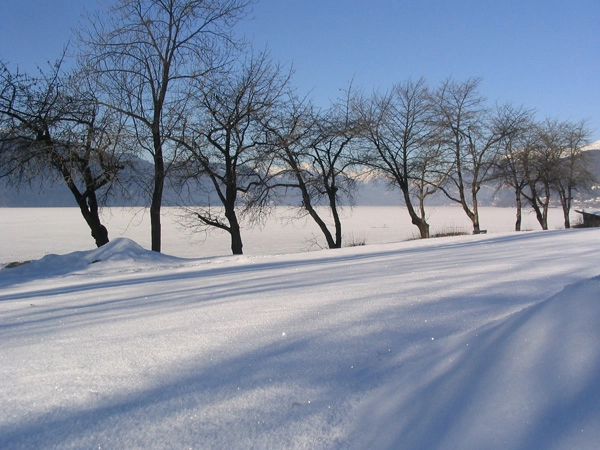 zobacz camping - zdjęcie 15