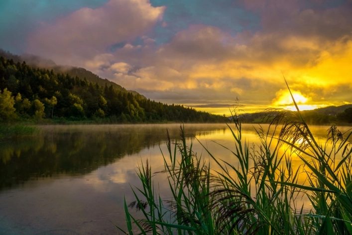 zobacz camping - zdjęcie 11