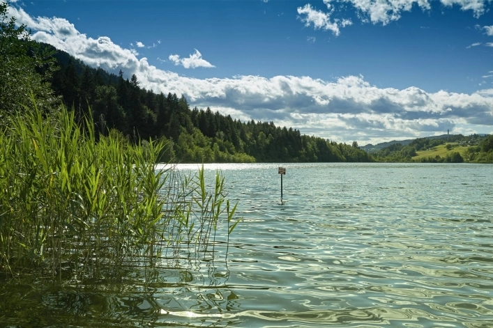 zobacz camping - zdjęcie 8