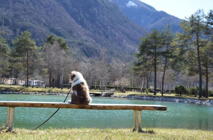 zobacz camping - zdjęcie 28