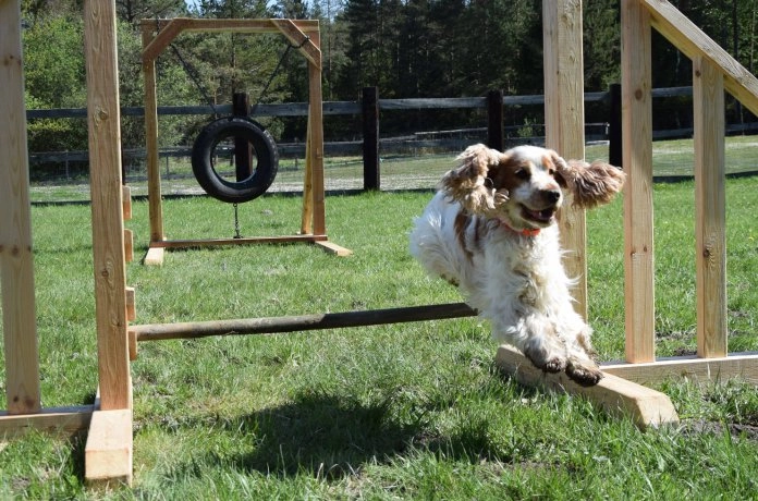 zobacz camping - zdjęcie 18