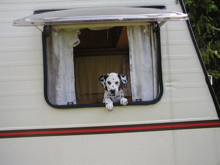 zobacz camping - zdjęcie 17