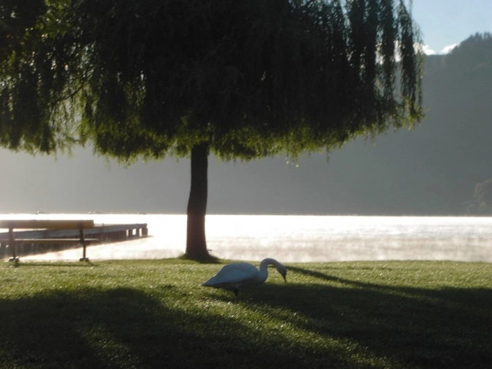 zobacz camping - zdjęcie 9