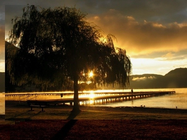 CampingBad Ossiachersee GmbH - zdjęcie 4