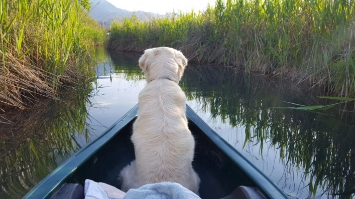 zobacz camping - zdjęcie 24