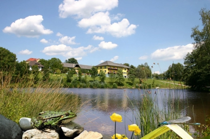 zobacz camping - zdjęcie 11