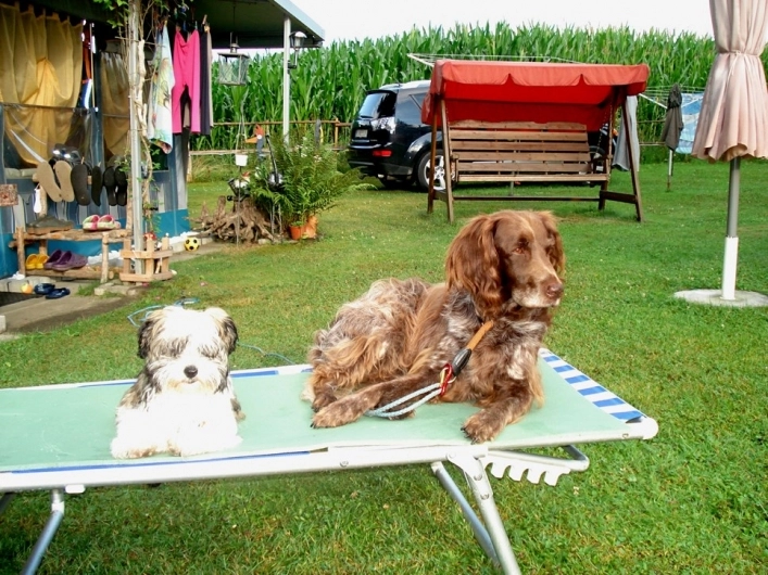 zobacz camping - zdjęcie 2