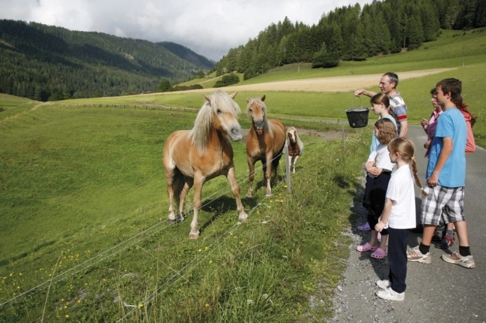 zobacz camping - zdjęcie 33