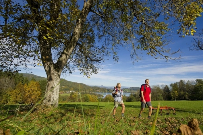 zobacz camping - zdjęcie 25