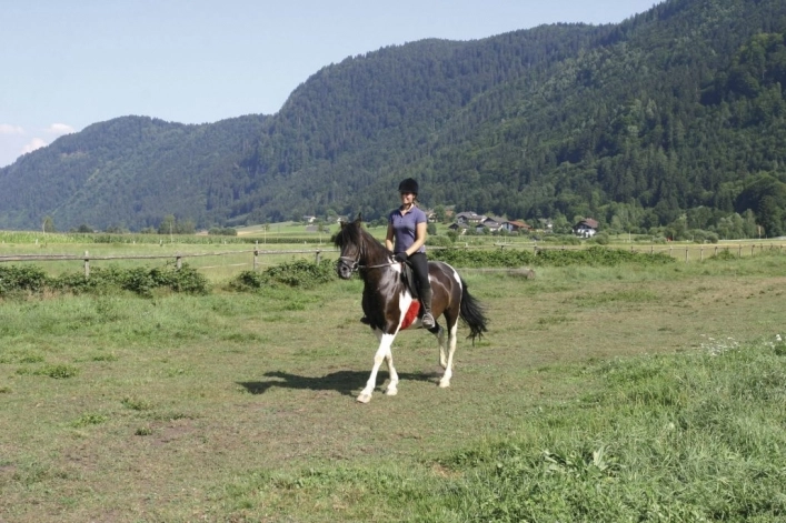 zobacz camping - zdjęcie 13