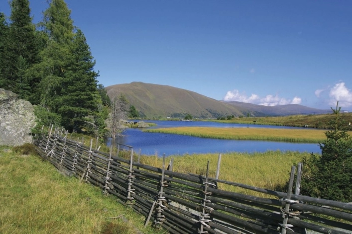 zobacz camping - zdjęcie 2