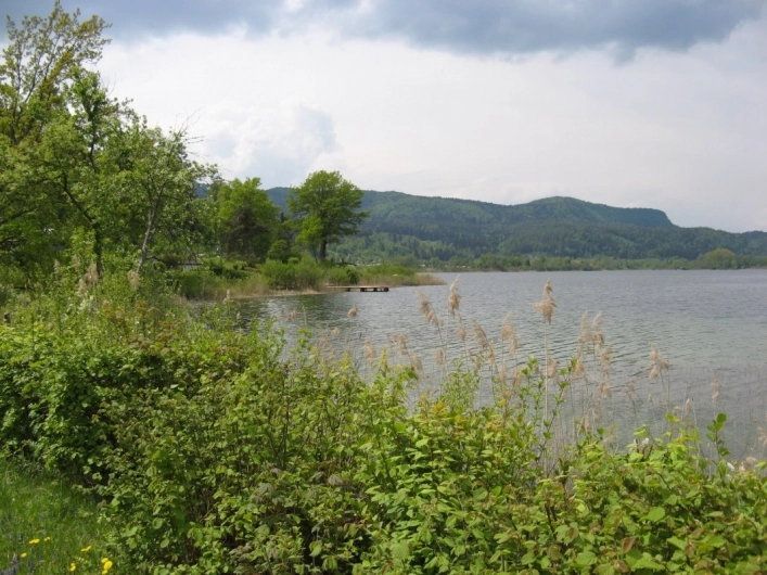 zobacz camping - zdjęcie 29