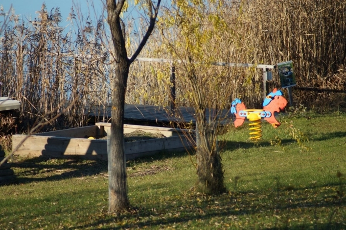 zobacz camping - zdjęcie 19