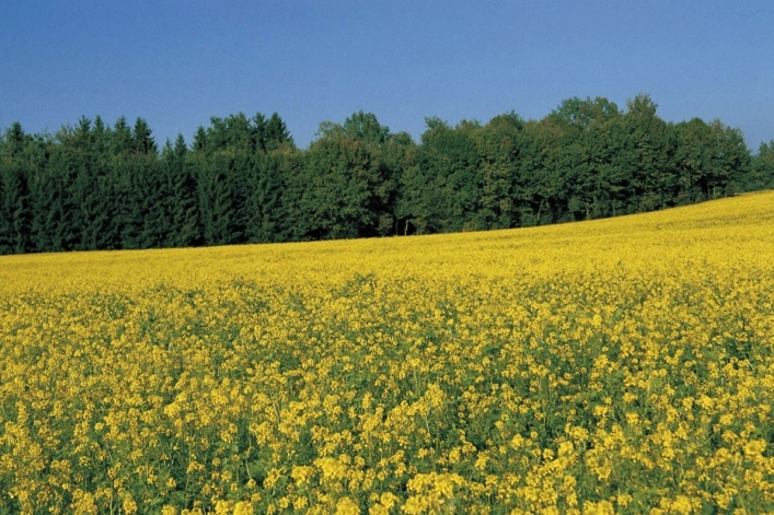 zobacz camping - zdjęcie 27