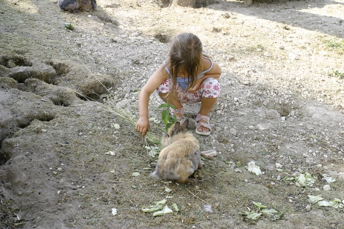 zobacz camping - zdjęcie 23