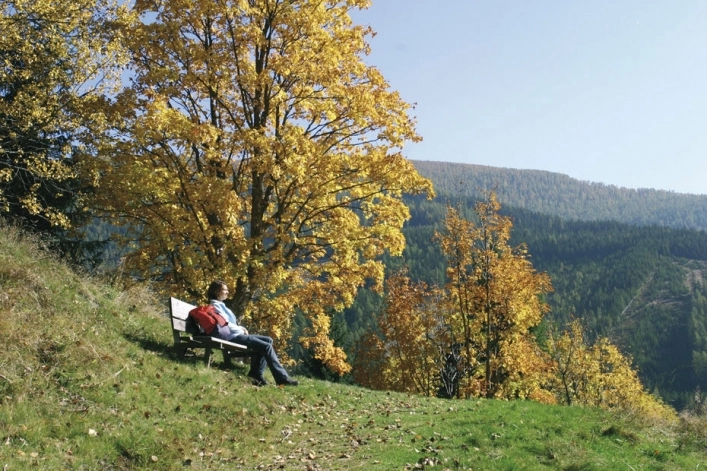 zobacz camping - zdjęcie 7