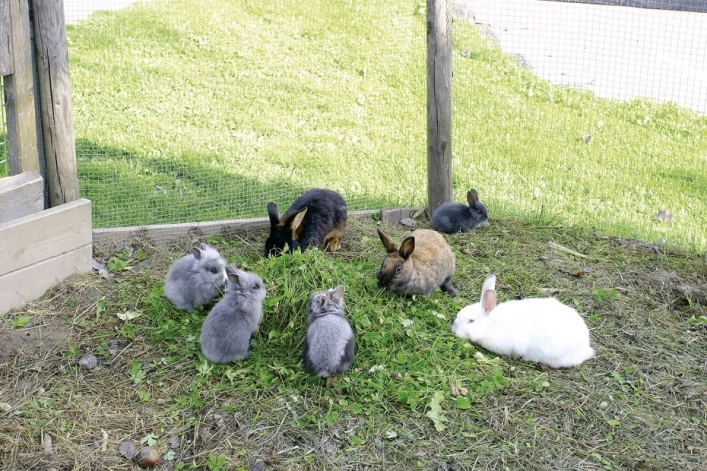 zobacz camping - zdjęcie 5