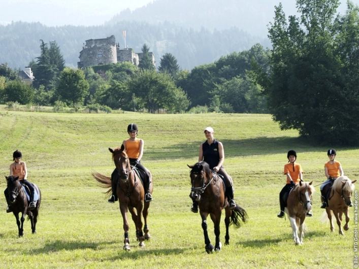 zobacz camping - zdjęcie 24