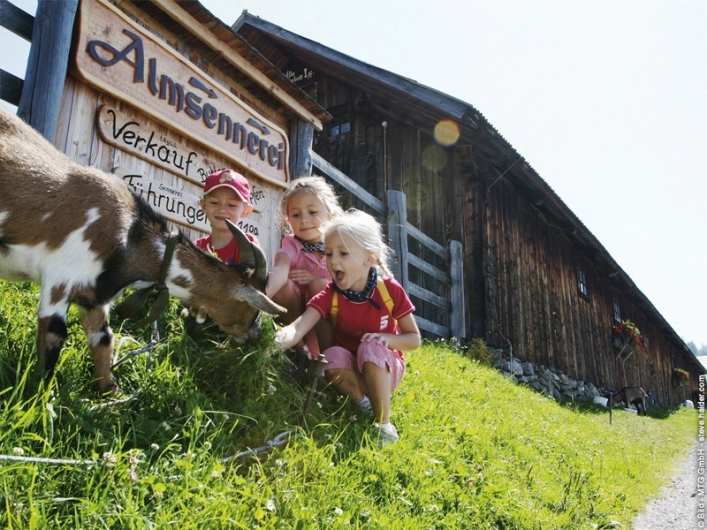 zobacz camping - zdjęcie 16