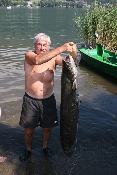 zobacz camping - zdjęcie 2