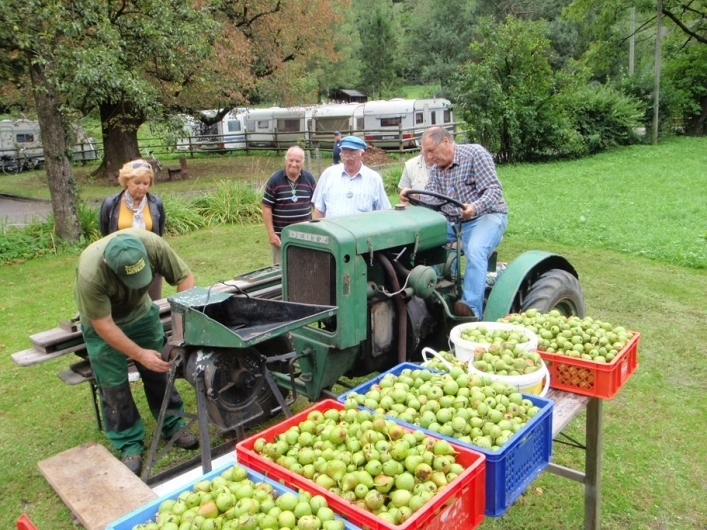 zobacz camping - zdjęcie 31