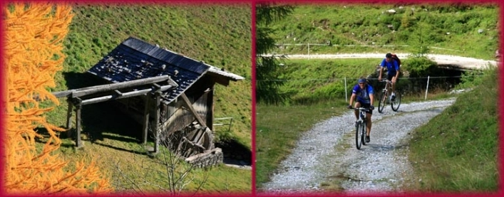 zobacz camping - zdjęcie 15