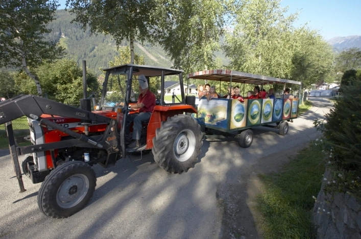 zobacz camping - zdjęcie 26