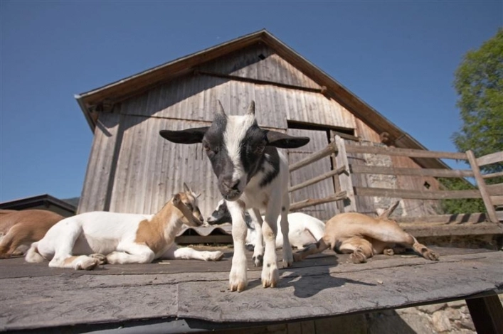 zobacz camping - zdjęcie 19