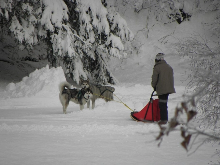 zobacz camping - zdjęcie 11