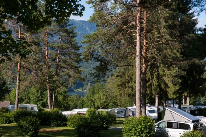 zobacz camping - zdjęcie 46
