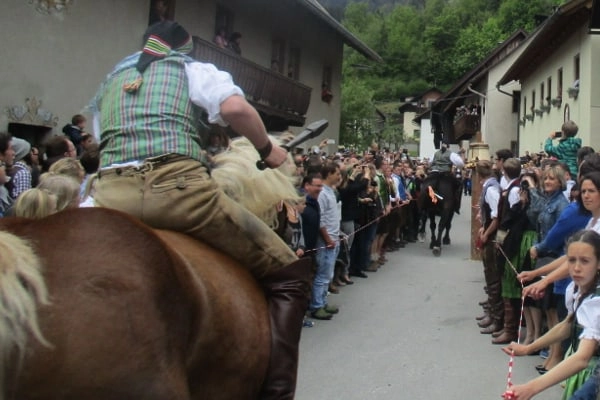zobacz camping - zdjęcie 16