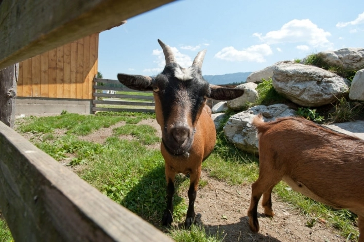 zobacz camping - zdjęcie 28