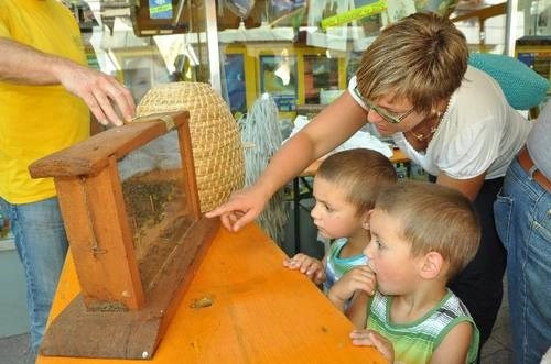 zobacz camping - zdjęcie 19