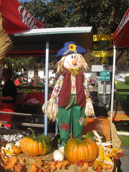 zobacz camping - zdjęcie 12