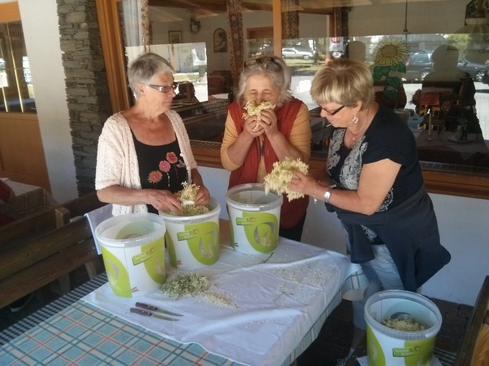 zobacz camping - zdjęcie 22