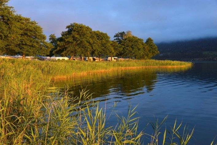 zobacz camping - zdjęcie 24