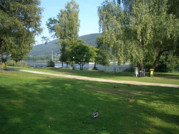 zobacz camping - zdjęcie 18