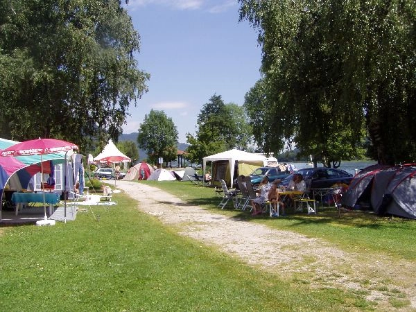 zobacz camping - zdjęcie 15