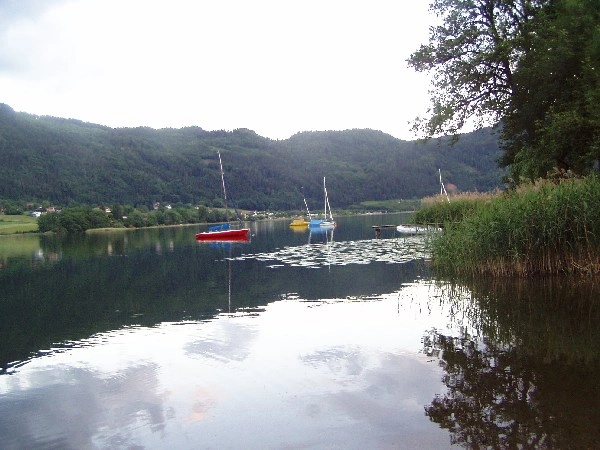 zobacz camping - zdjęcie 7