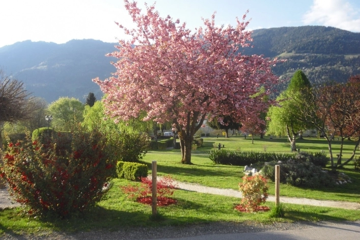 zobacz camping - zdjęcie 25