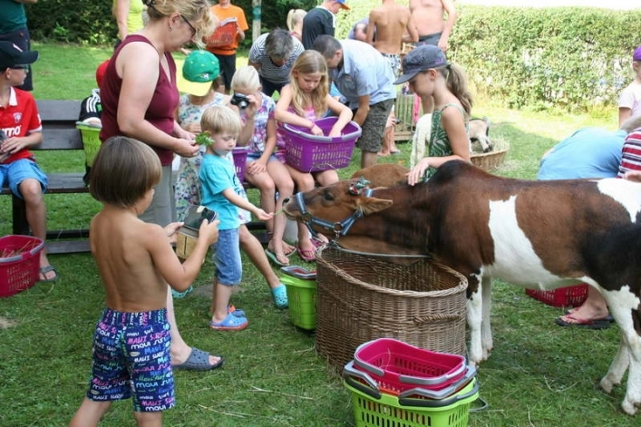 zobacz camping - zdjęcie 14