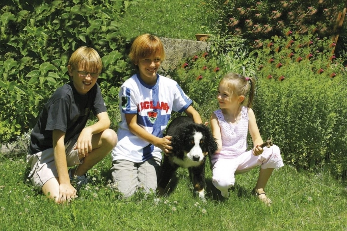 zobacz camping - zdjęcie 16