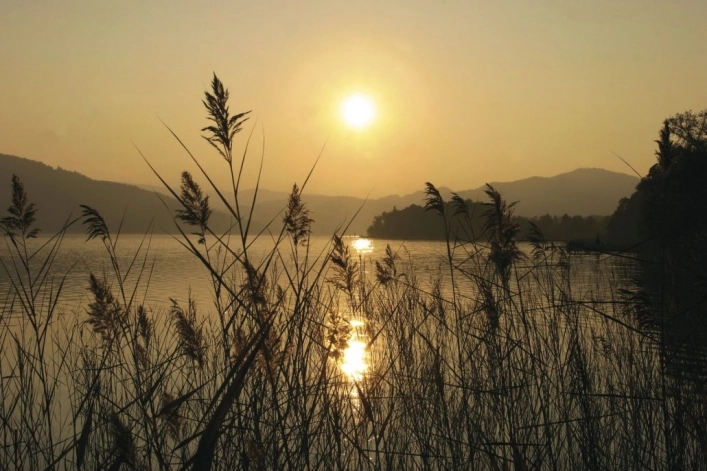 zobacz camping - zdjęcie 4