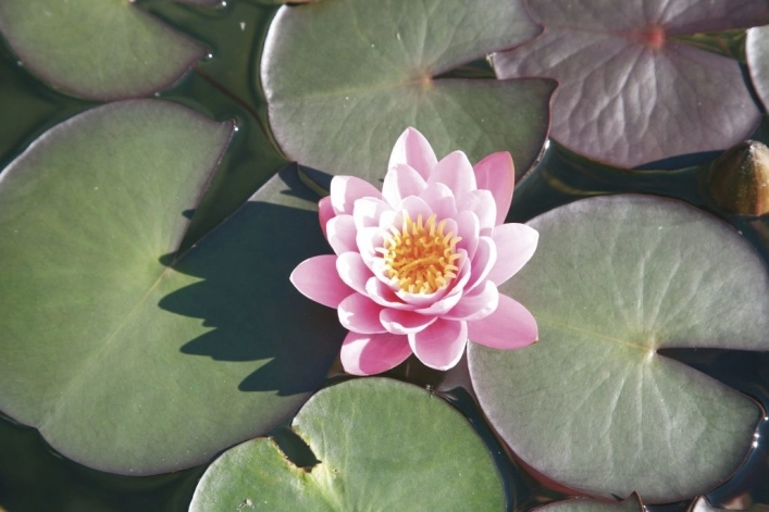 Seecamping Plörz - zdjęcie 2